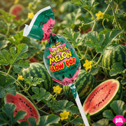 Blow Pops What-A-Melon Lutscher mit Wassermelonengeschmack und Kaugummifüllung 18 g