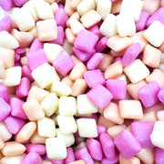 Chewy Fun Gummy Candy 100g